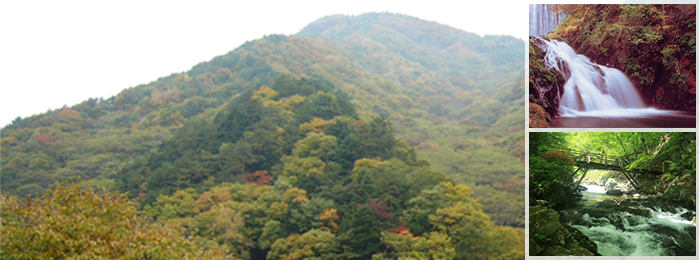 巣栗渓谷 緑の広場 武石観光センター