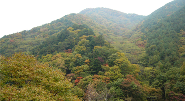 武石観光センター 巣栗渓谷緑の広場